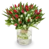 Bouquet of red tulips